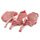 2 Pork Rib Chop
